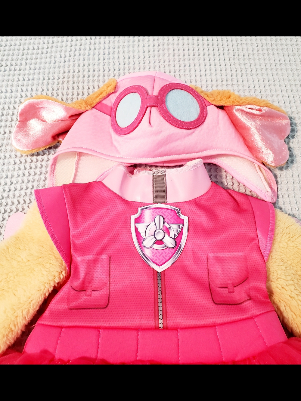 Paw Patrol Skye Pink Tulle Dress Costume for Kids - Picture 2 of 7
